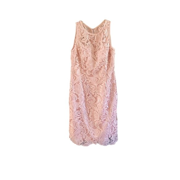 Adrianna Papell Dresses & Skirts - Adrianna Papell Pink Lace Sheath Dress